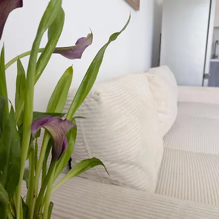 Mezonett Sea View Apartment Polychrono